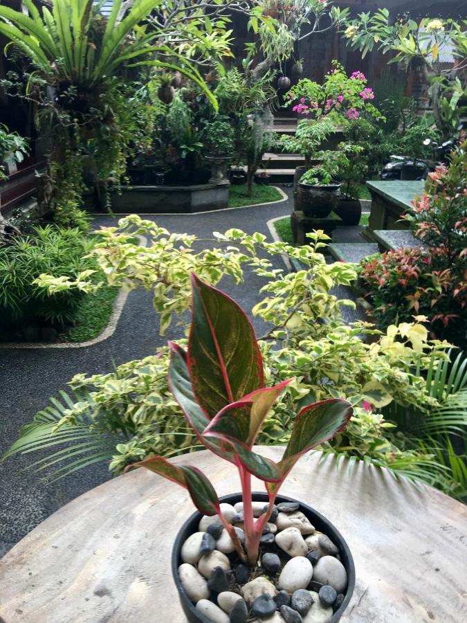 Wina Ubud B&B Экстерьер фото